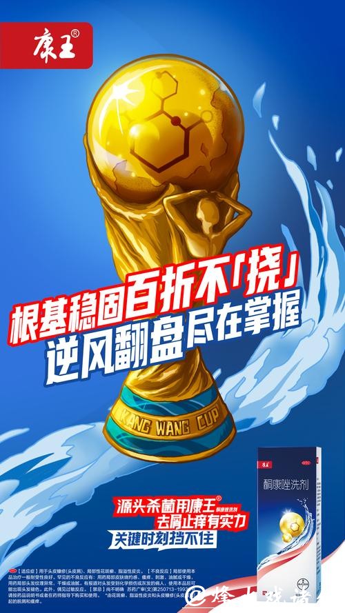 世界杯下注盈利宝典，让你轻松翻盘