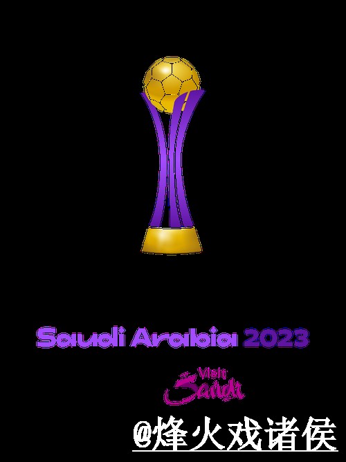 2026世界杯官网网址地址说明，打不开问题和最新地址参考